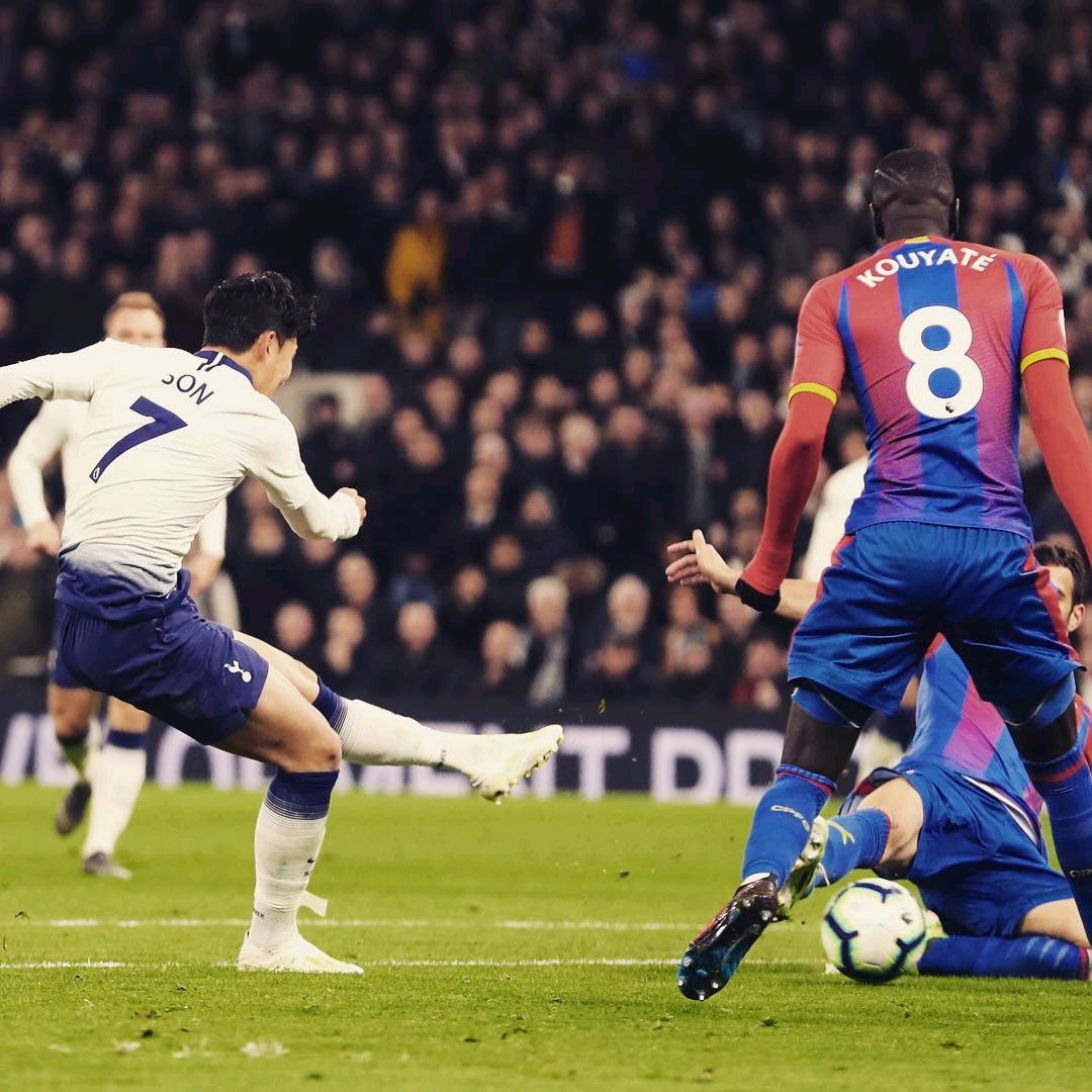 供了展示实 供了展示实