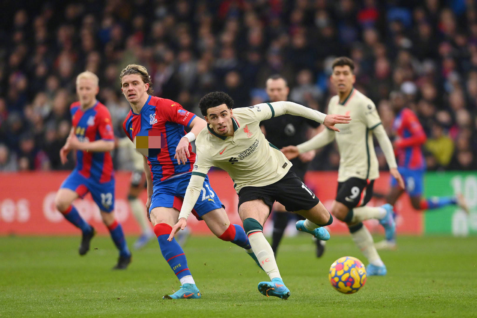 小海梅的那 小海梅的那